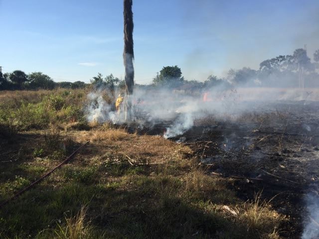 Trowbridge Brush Fire